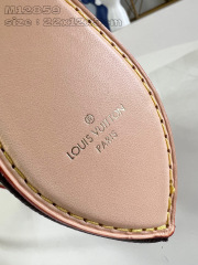 Louis Vuitton  Pochette Tirette  Size：22*12*5.5cm