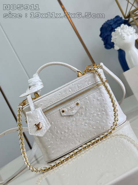 Louis Vuitton Vanity Chain Pouch Dimensioni: 19*11,5*6,5 cm