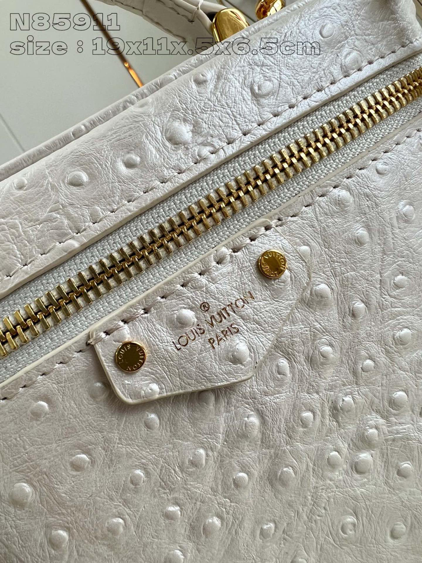 Louis Vuitton Vanity Chain Pouch Dimensioni: 19*11,5*6,5 cm