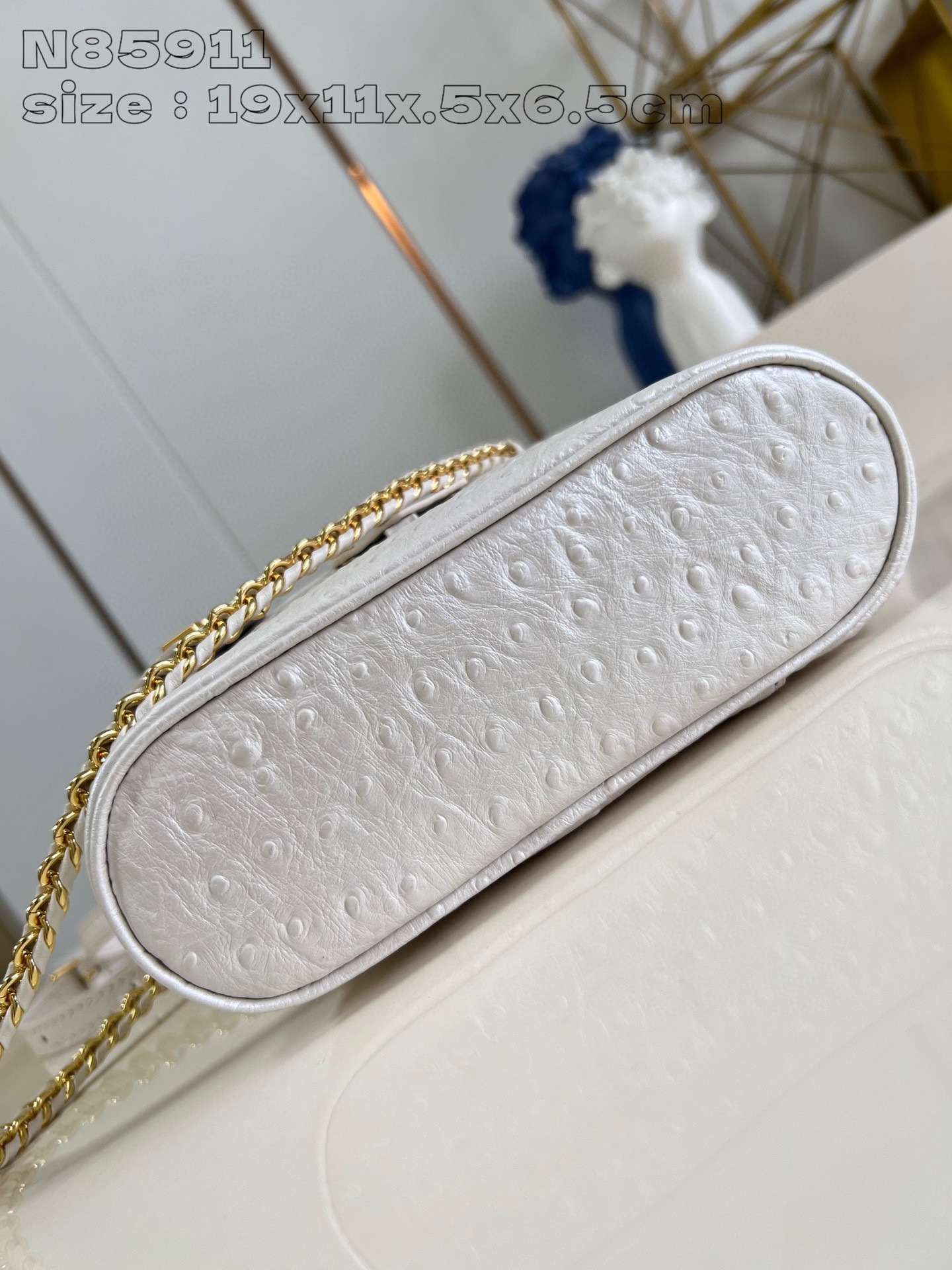 Louis Vuitton Vanity Chain Pouch Dimensioni: 19*11,5*6,5 cm