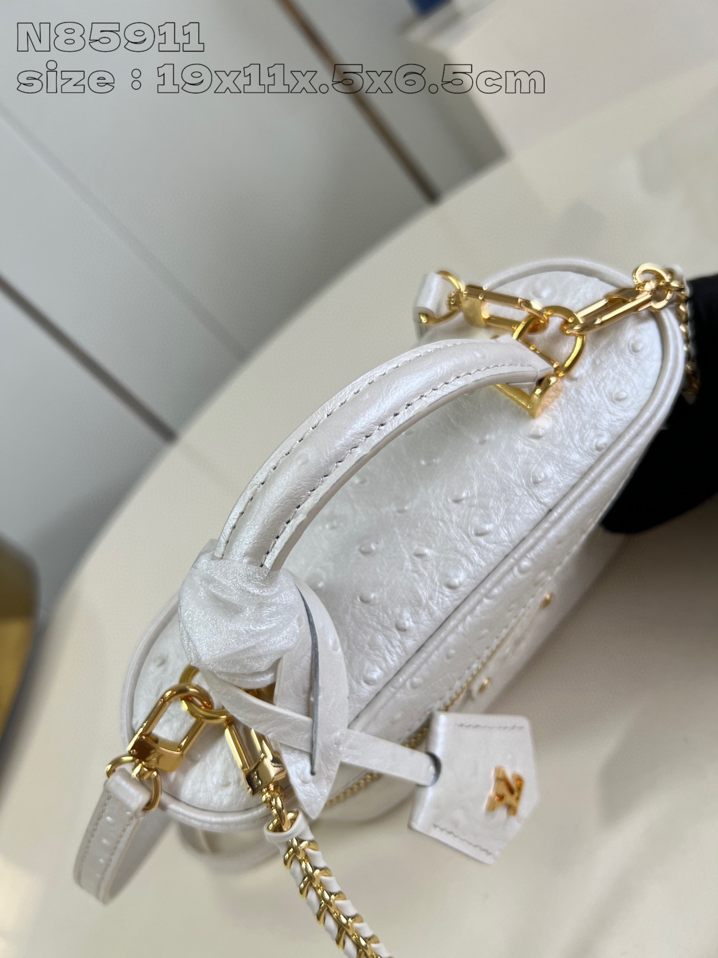 Louis Vuitton Vanity Chain Pouch Dimensioni: 19*11,5*6,5 cm