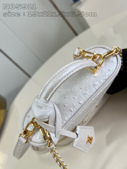 Louis Vuitton Vanity Chain Pouch Dimensioni: 19*11,5*6,5 cm