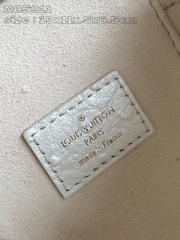Louis Vuitton Vanity Chain Pouch Dimensioni: 19*11,5*6,5 cm