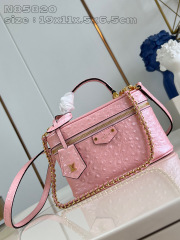 Louis Vuitton Vanity Chain Pouch Dimensioni: 19*11,5*6,5 cm