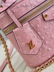 Louis Vuitton Vanity Chain Pouch Dimensioni: 19*11,5*6,5 cm