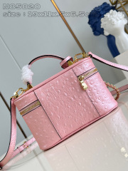 Louis Vuitton Vanity Chain Pouch Dimensioni: 19*11,5*6,5 cm