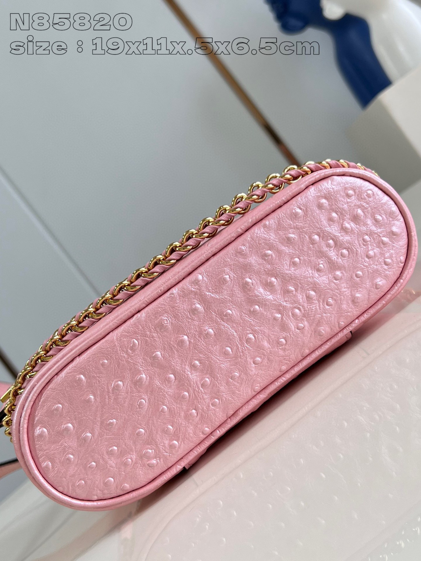 Louis Vuitton Vanity Chain Pouch Dimensioni: 19*11,5*6,5 cm