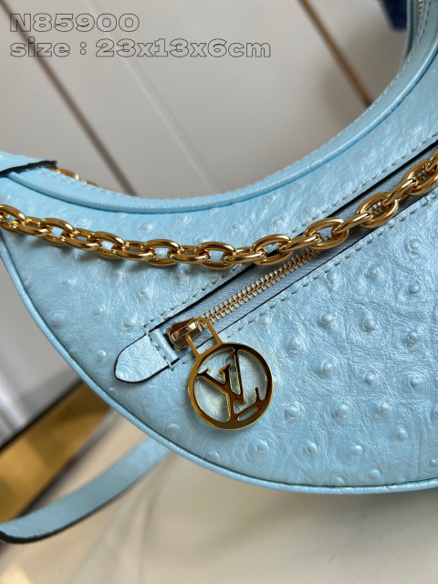Dimensioni del cinturino Louis Vuitton: 23*13*6cm