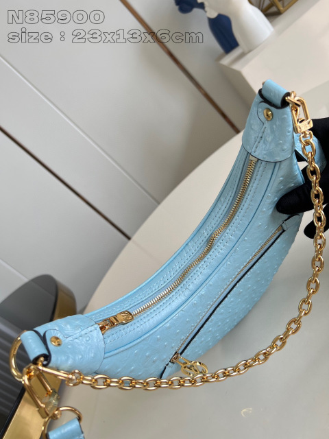 Dimensioni del cinturino Louis Vuitton: 23*13*6cm