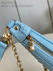 Dimensioni del cinturino Louis Vuitton: 23*13*6cm