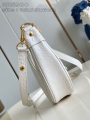 Dimensioni del cinturino Louis Vuitton: 23*13*6cm
