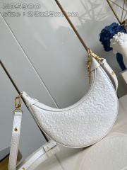 Dimensioni del cinturino Louis Vuitton: 23*13*6cm