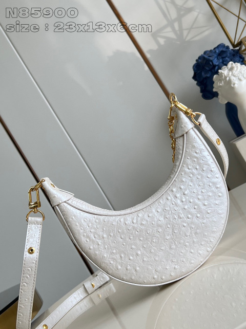 Dimensioni del cinturino Louis Vuitton: 23*13*6cm
