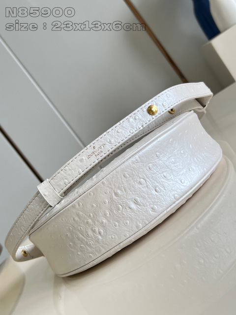 Dimensioni del cinturino Louis Vuitton: 23*13*6cm
