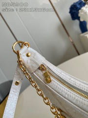 Dimensioni del cinturino Louis Vuitton: 23*13*6cm