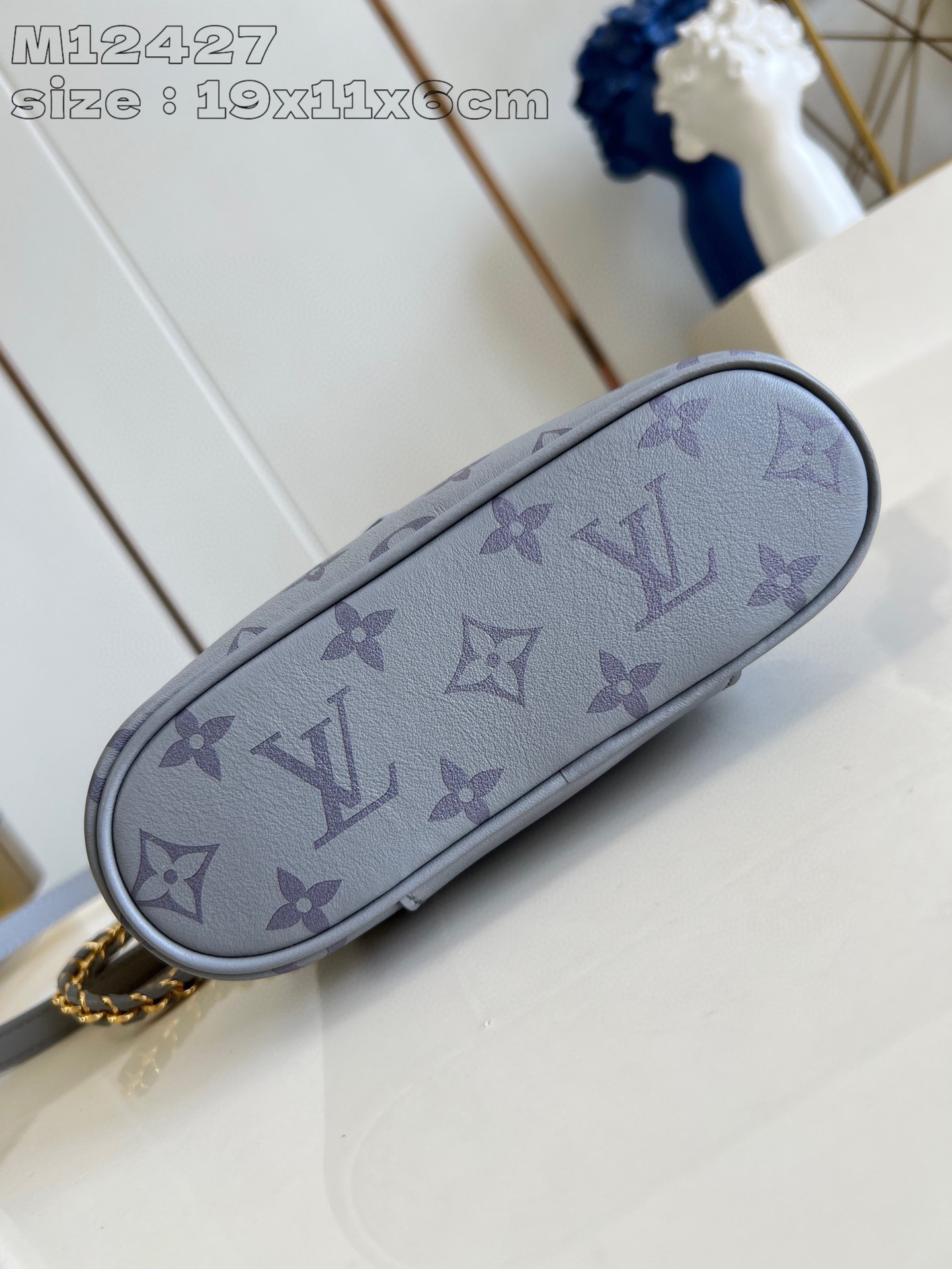 Louis Vuitton Vanity Chain Pouch Size：19*11.5*6.5cm