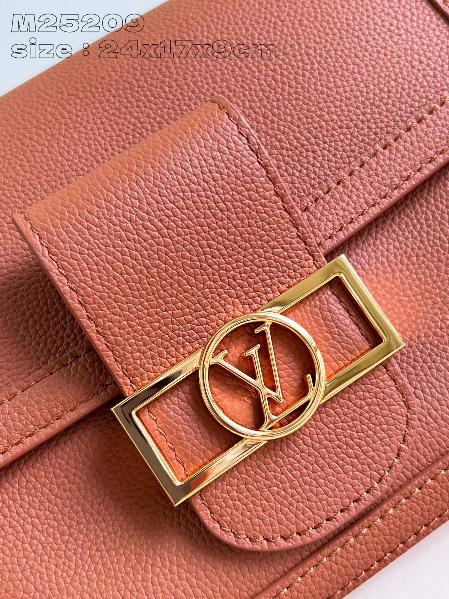 Louis Vuitton  Dauphine Soft Size：24*17*9cm