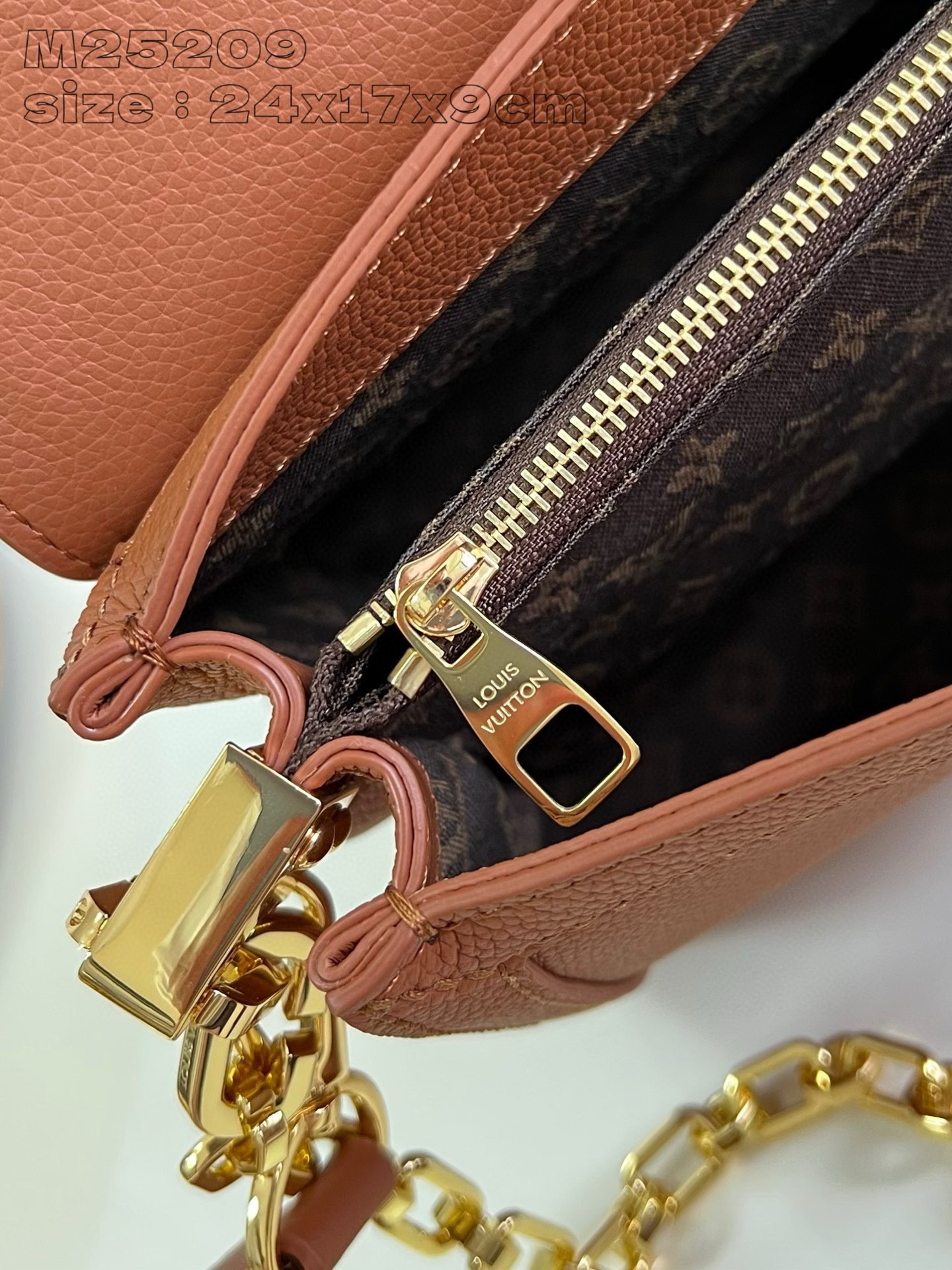 Louis Vuitton  Dauphine Soft Size：24*17*9cm