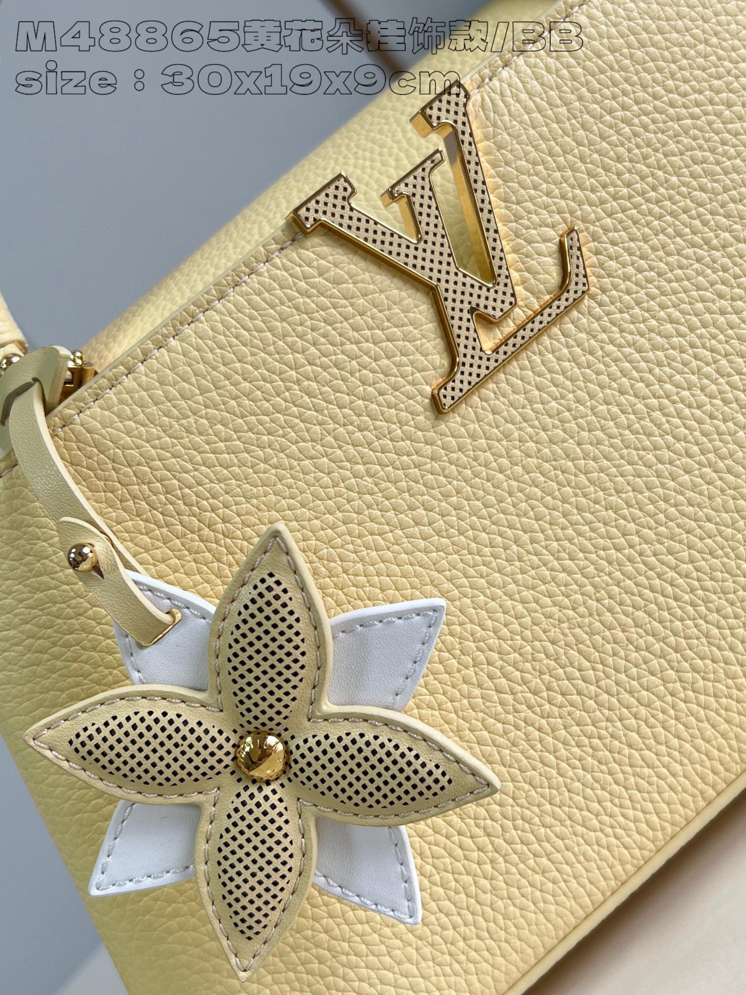 Louis Vuitton Capucines Ost-West Größe: 30 * 19 * 9 cm