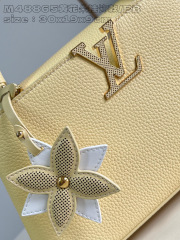 Louis Vuitton Capucines Ost-West Größe: 30 * 19 * 9 cm