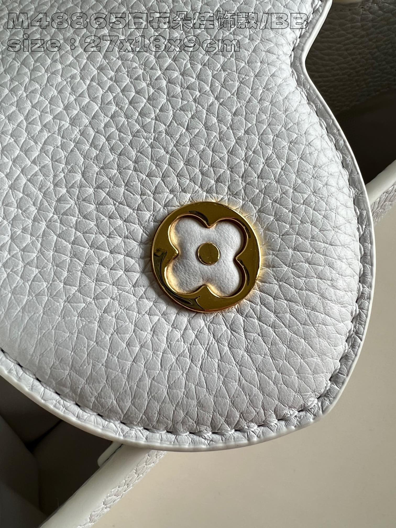 Louis Vuitton Capucines East-West Size：30*19*9cm