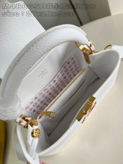 Louis Vuitton Capucines East-West Size：30*19*9cm