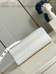 Louis Vuitton Twist-Monogramm Größe: 23 x 17 x 9,5 cm