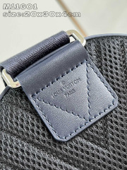 Louis Vuitton  Pilot         Size：30*20*4cm