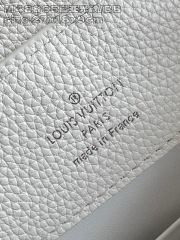 Louis Vuitton Capucines BB Size：27*17*9cm