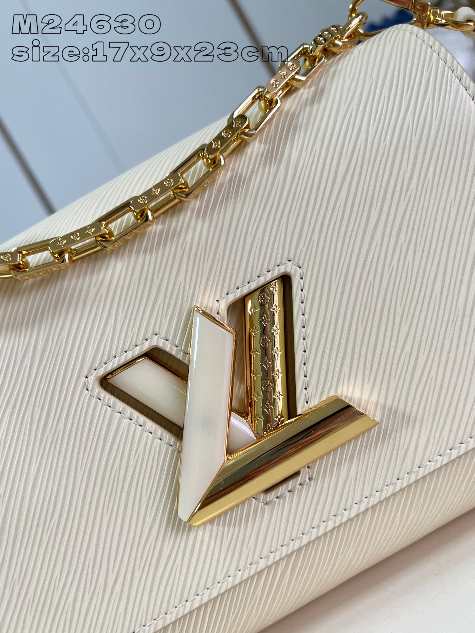 Louis Vuitton Twist Saiz：23*17*9.5sm