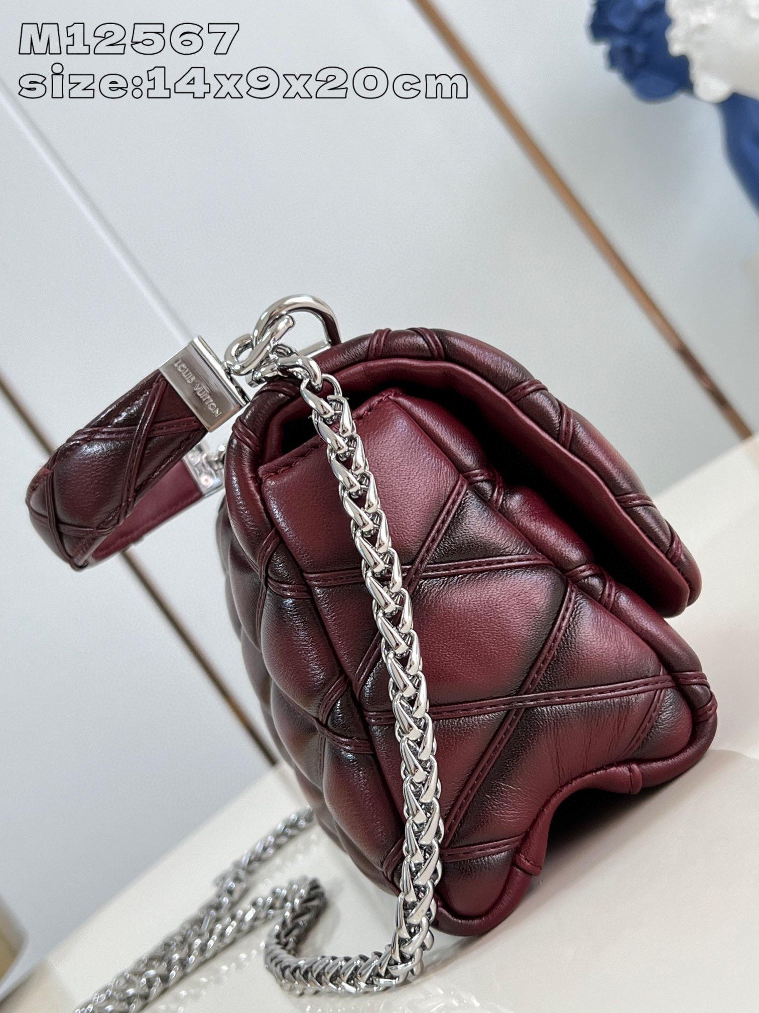 Louis Vuitton GO-14 Saiz：20*14*9sm
