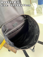Louis Vuitton Christopher Saiz：39*32*12sm