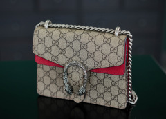 Gucci GG Dionysus Dimensioni: 20*15*5cm
