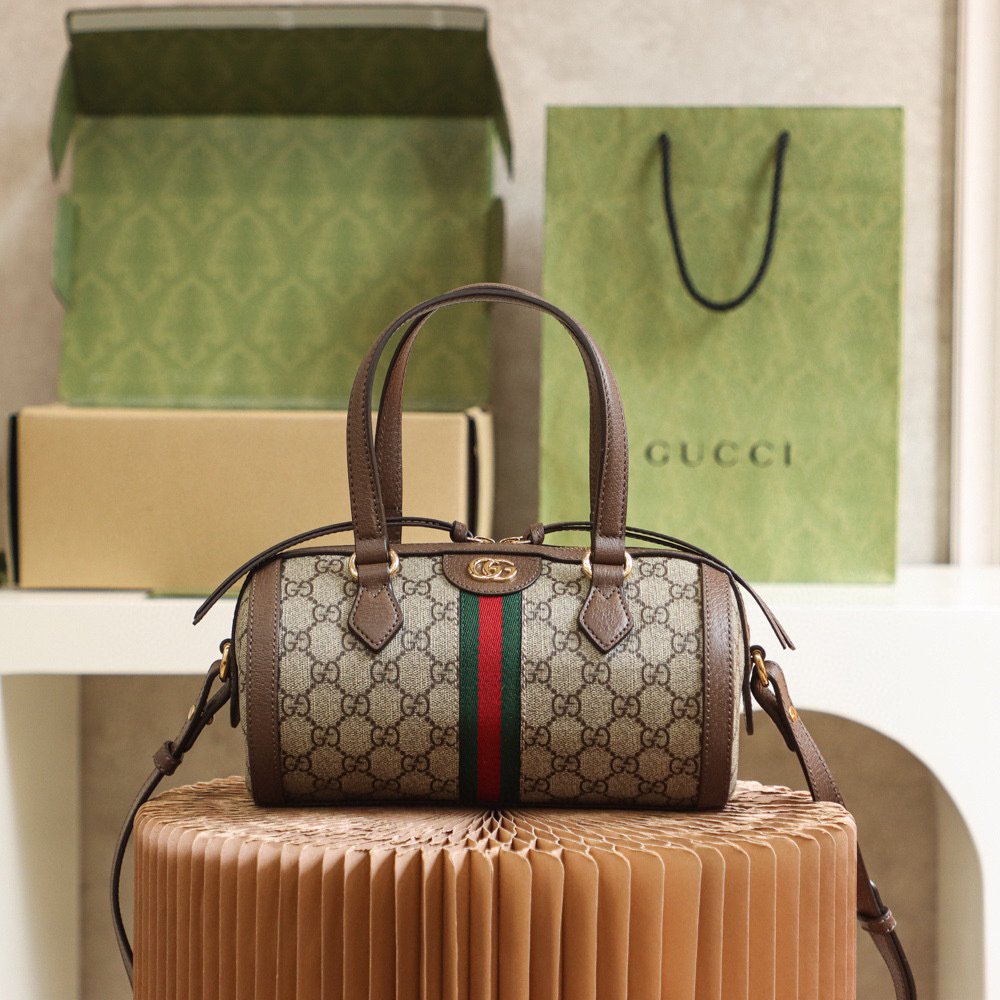 Gucci Ophidia GG bag  Size：25.5*14*14cm