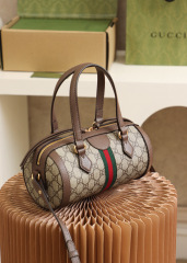 Gucci Ophidia GG bag  Size：25.5*14*14cm