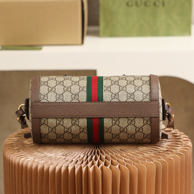 Gucci Ophidia GG bag  Size：25.5*14*14cm