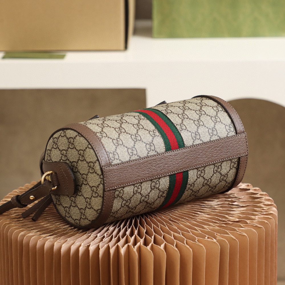 Gucci Ophidia GG bag  Size：25.5*14*14cm