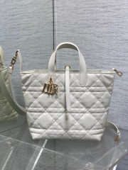 Beg Christian Dior Toujours Saiz：20*18.5*22sm