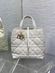 Beg Christian Dior Toujours Saiz：20*18.5*22sm