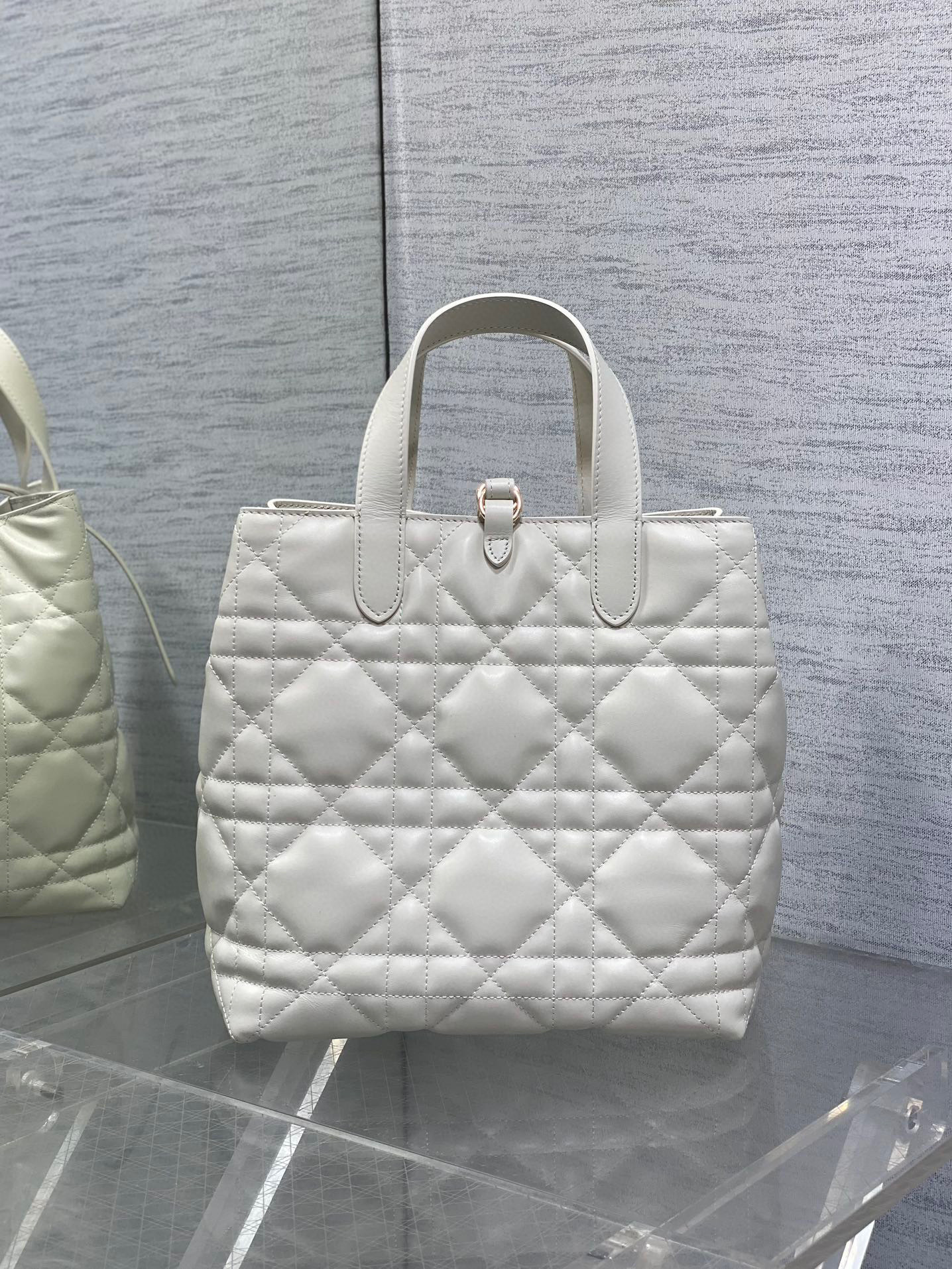 Beg Christian Dior Toujours Saiz：20*18.5*22sm