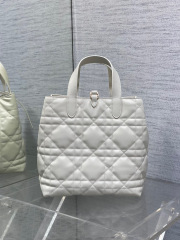 Beg Christian Dior Toujours Saiz：20*18.5*22sm