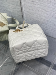 Beg Christian Dior Toujours Saiz：20*18.5*22sm