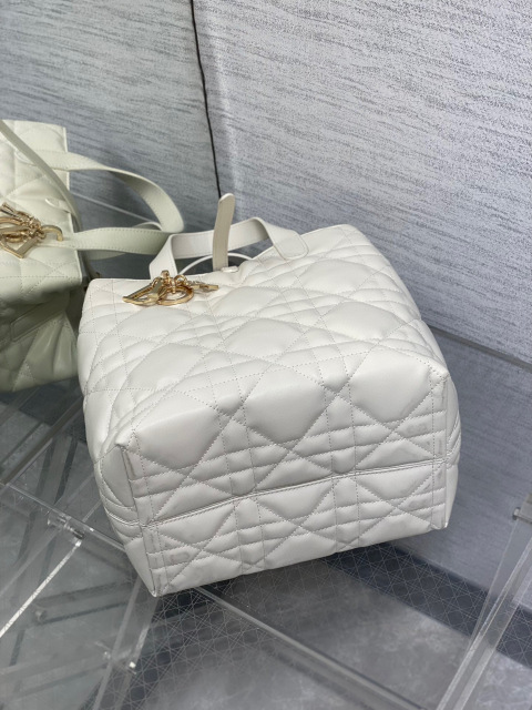 Beg Christian Dior Toujours Saiz：20*18.5*22sm