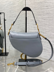 Christian Dior CD saddle Size：24*18*6cm