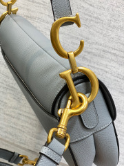 Christian Dior CD saddle Size：24*18*6cm
