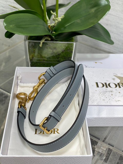 Christian Dior CD saddle Size：24*18*6cm