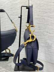 Christian Dior CD saddle Size：24*18*6cm