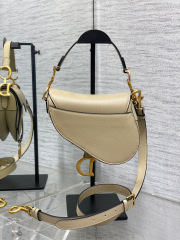 Christian Dior CD saddle Size：17*15*5cm