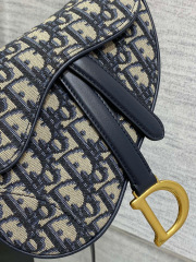 Christian Dior CD saddle Size：17*15*5cm