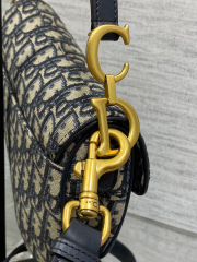 Christian Dior CD saddle Size：17*15*5cm